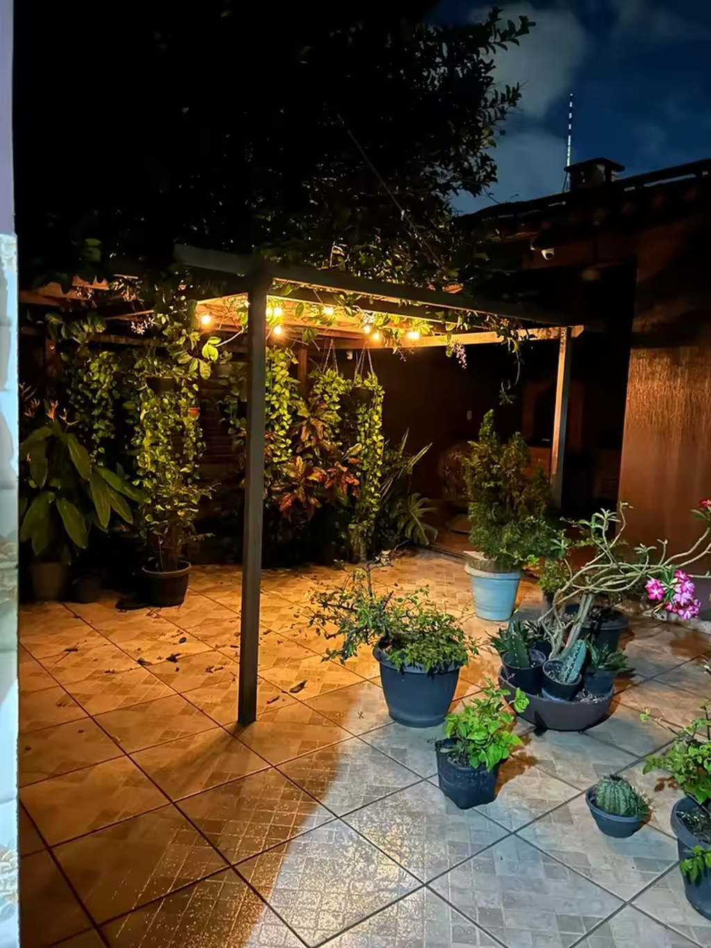 Liora Outdoor String Lights