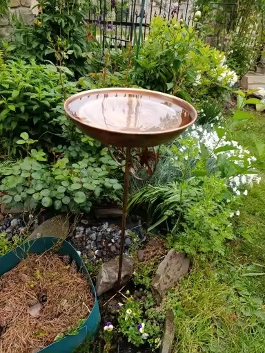 Briarwood Iron Garden Birdbath