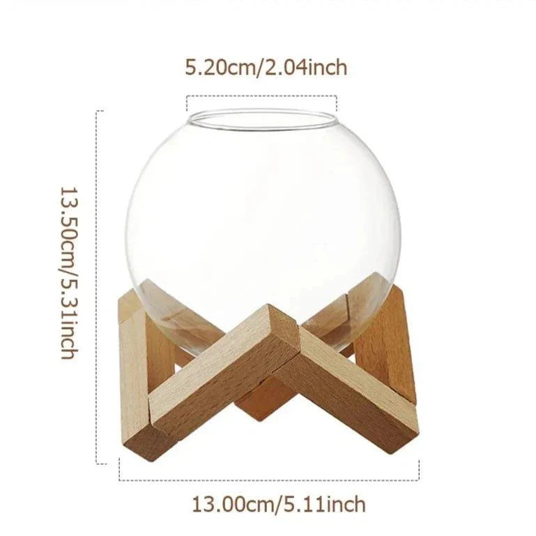 Ponza Cocktail Glass